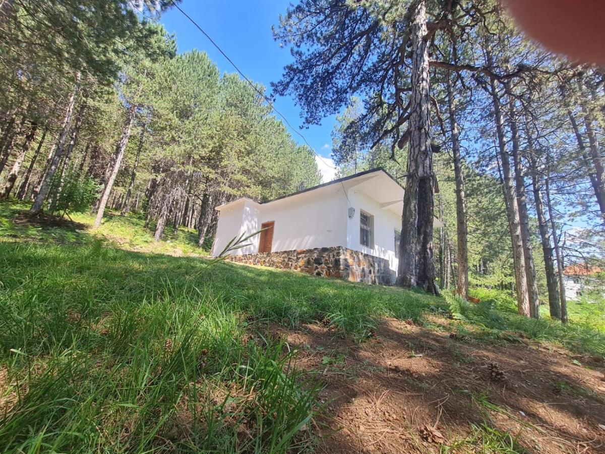 Bujtinat Skenderi Gjinar 2 Villa Luaran gambar
