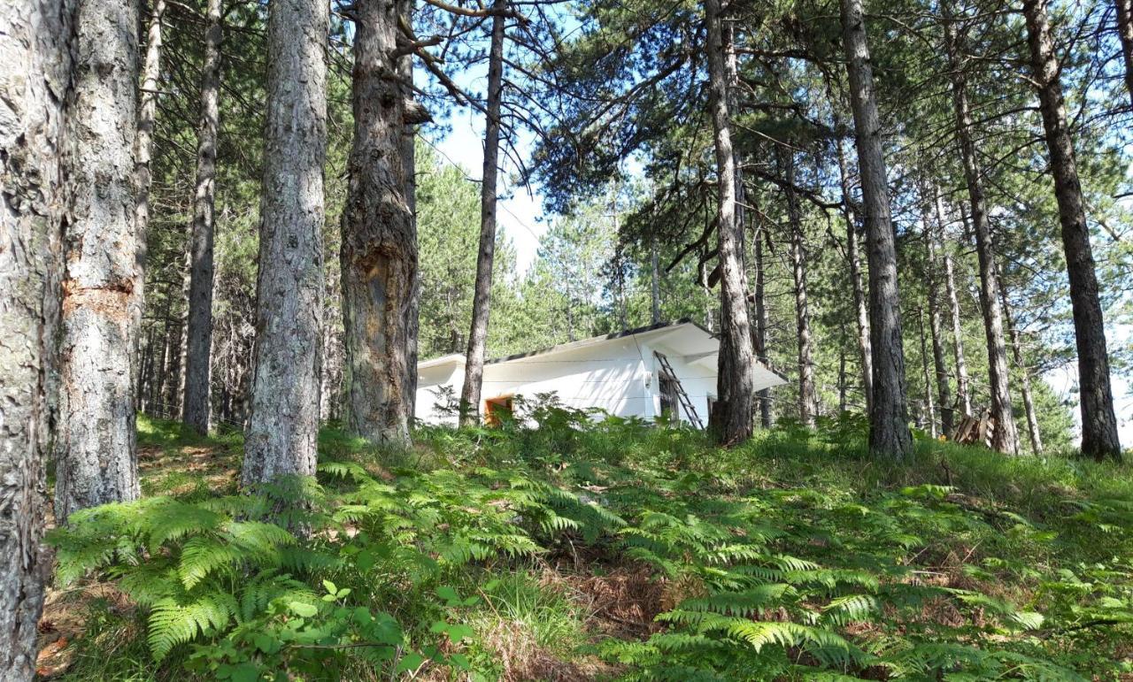 Bujtinat Skenderi Gjinar 2 Villa Luaran gambar