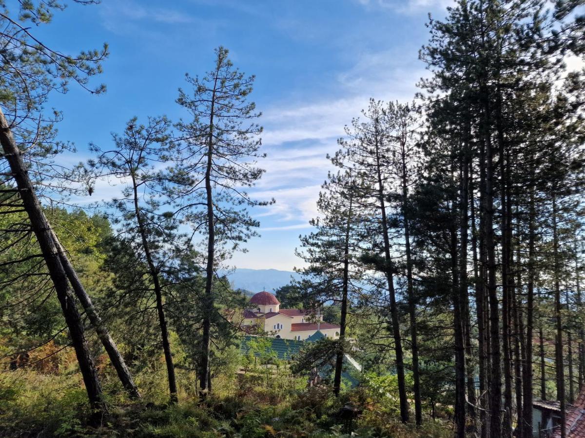 Bujtinat Skenderi Gjinar 2 Villa Luaran gambar