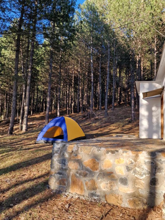 Bujtinat Skenderi Gjinar 2 Villa Luaran gambar