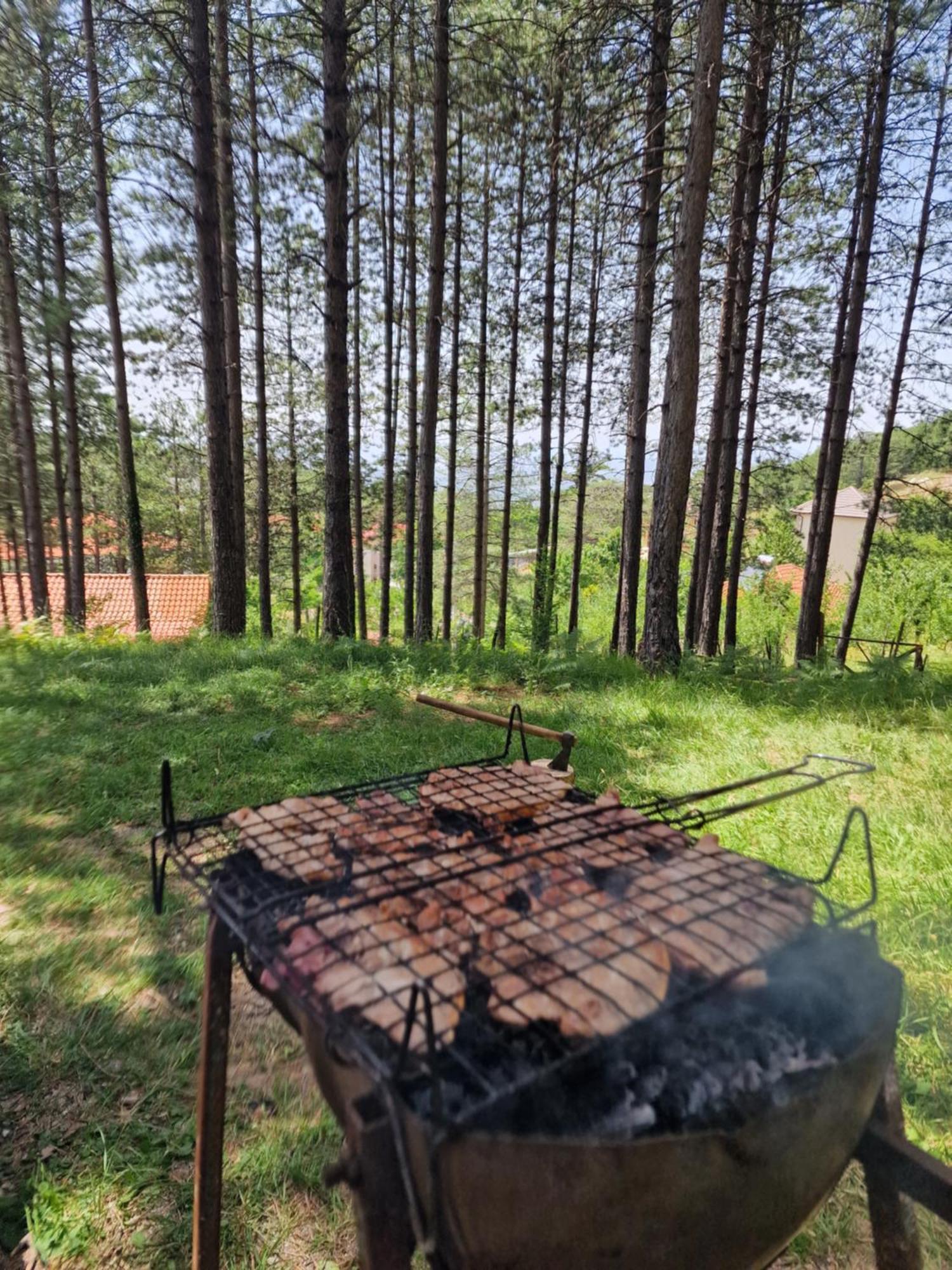 Bujtinat Skenderi Gjinar 2 Villa Luaran gambar