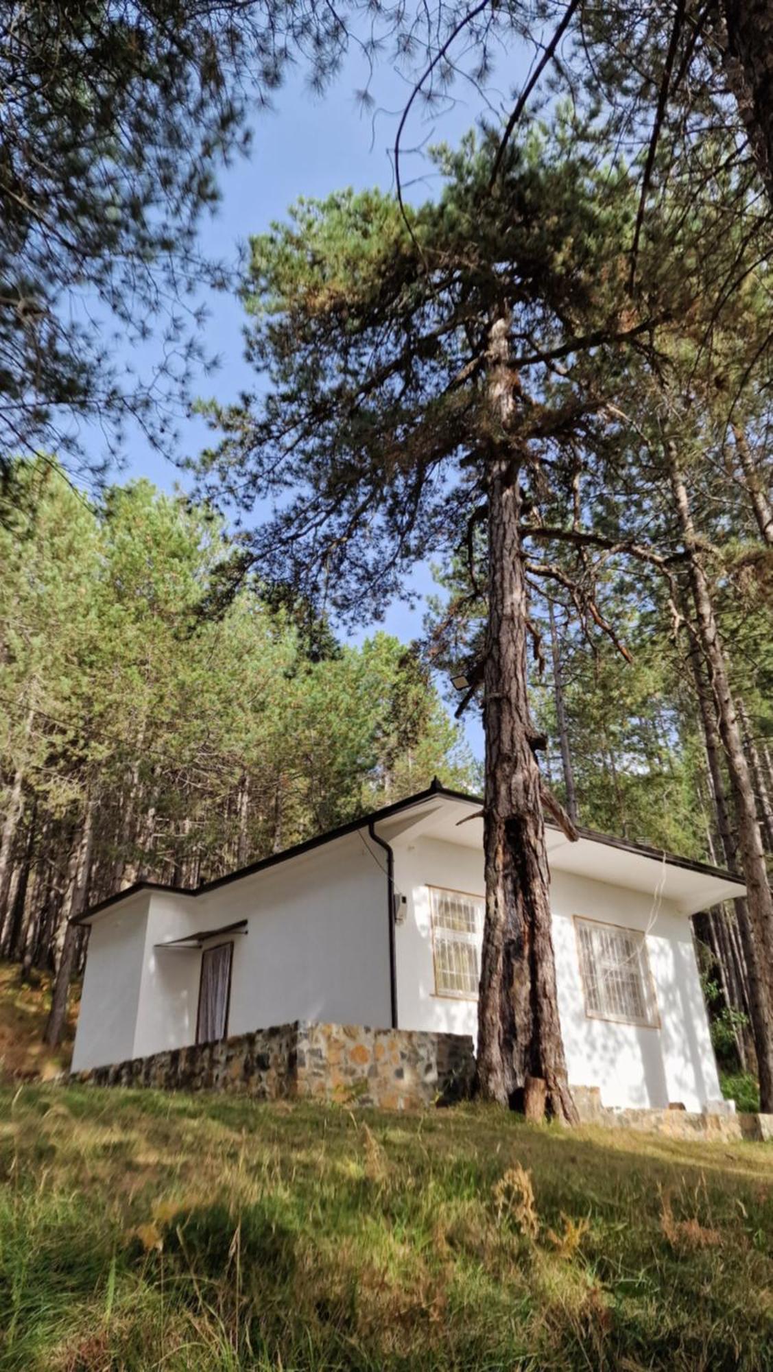 Bujtinat Skenderi Gjinar 2 Villa Luaran gambar