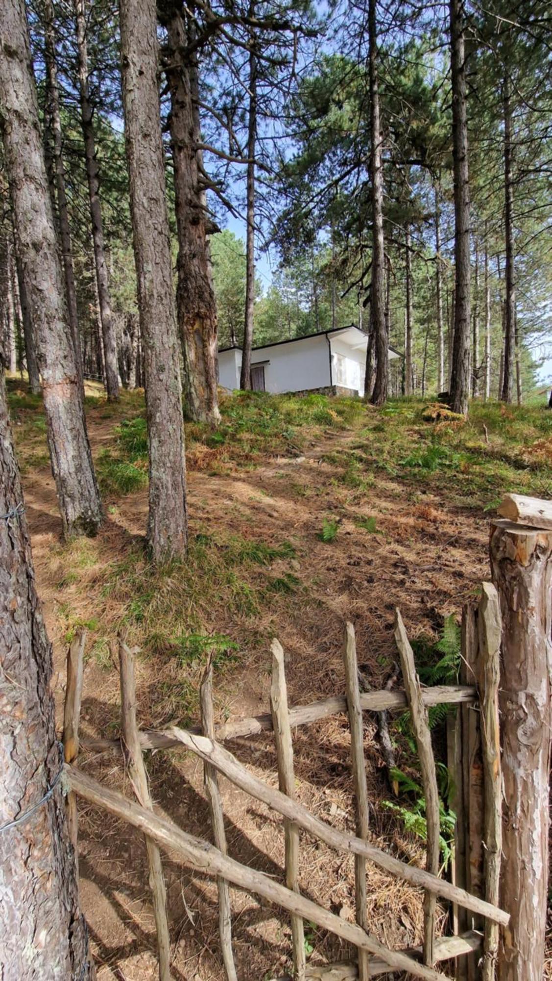 Bujtinat Skenderi Gjinar 2 Villa Luaran gambar