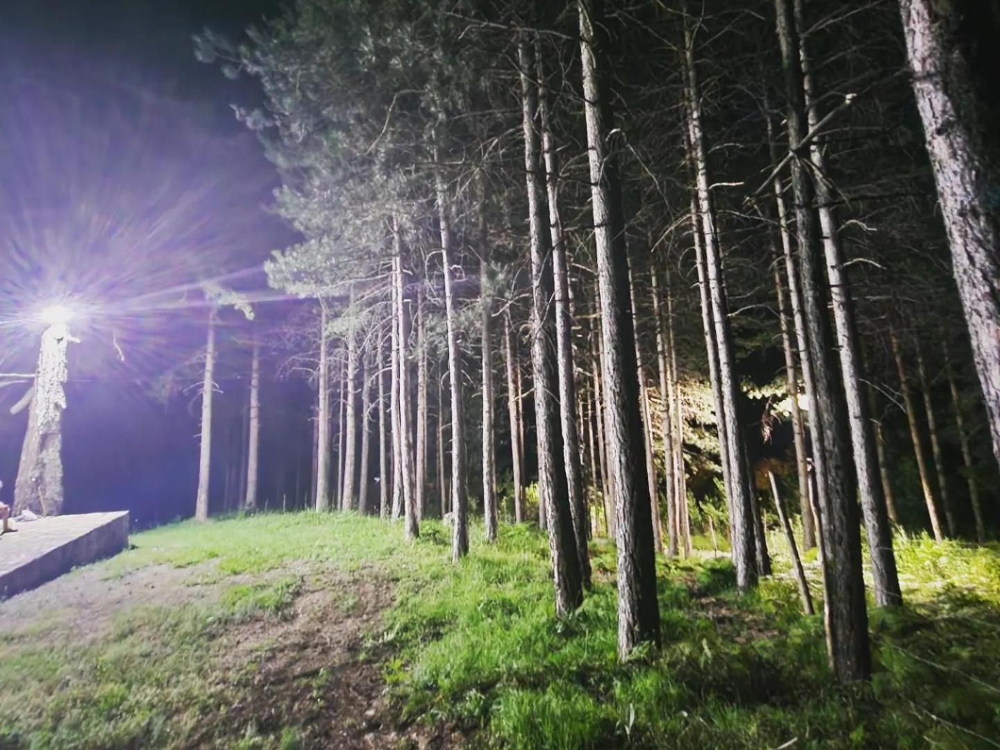 Bujtinat Skenderi Gjinar 2 Villa Luaran gambar