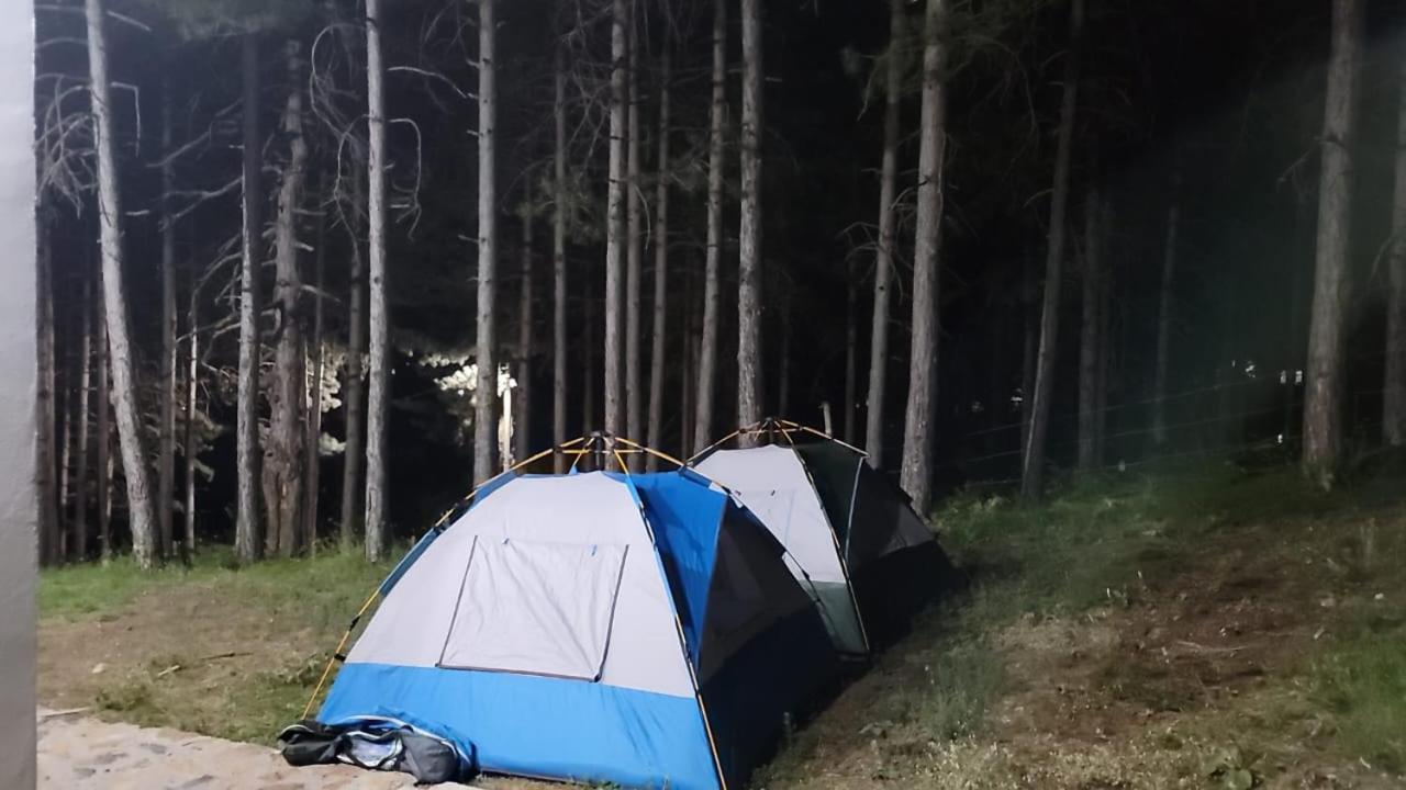 Bujtinat Skenderi Gjinar 2 Villa Bilik gambar