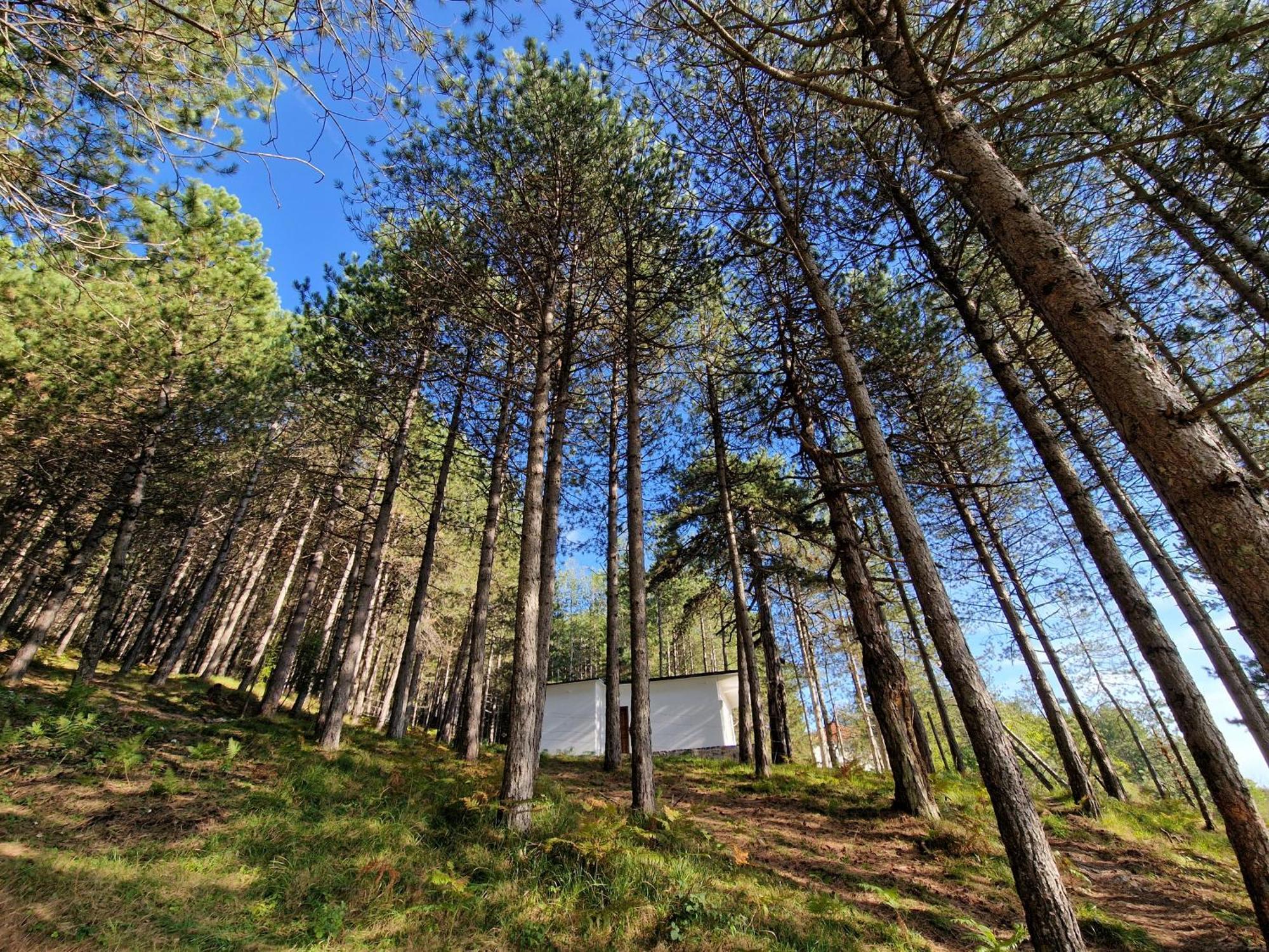 Bujtinat Skenderi Gjinar 2 Villa Bilik gambar